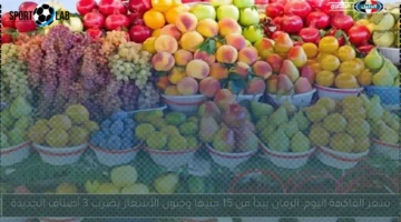 سعر الفاكهة اليوم 2025.. الرمان يبدأ من 15 جنيها وجنون الأسعار يضرب 3 أصناف جديدة